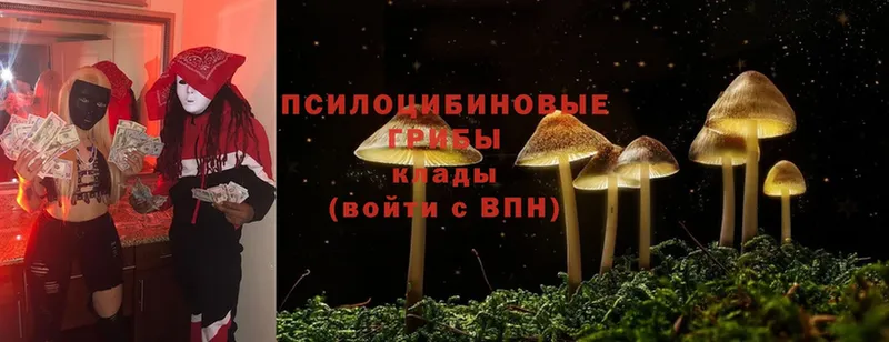 МЕГА вход  Чебоксары  Псилоцибиновые грибы Cubensis 